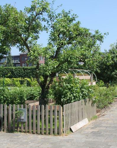 Hoeve Altena Loft