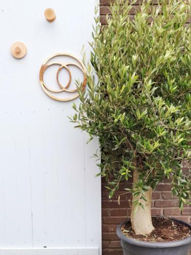 Apartamento West 7