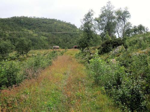 Agroturismo Haukeli Husky Logde B&B
