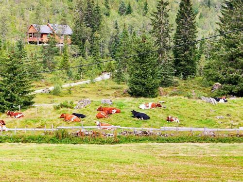 Holiday Home Fjellangervegen II