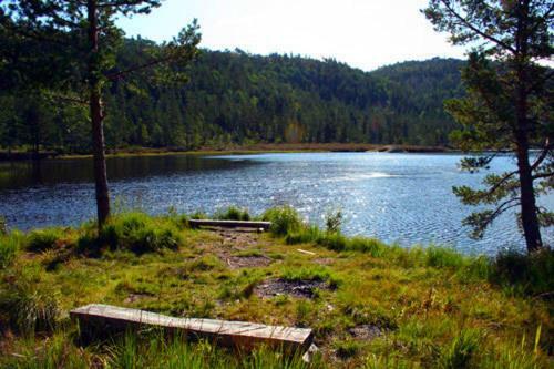Lodge Bortelid Booking