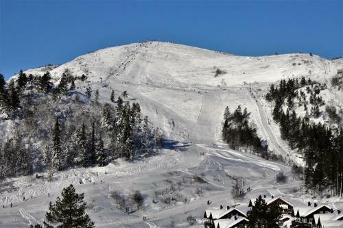 Lodge Bortelid Booking