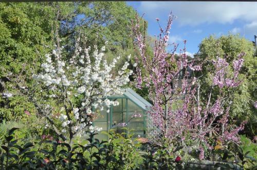 Bed & Breakfast Hazelwood Mapua