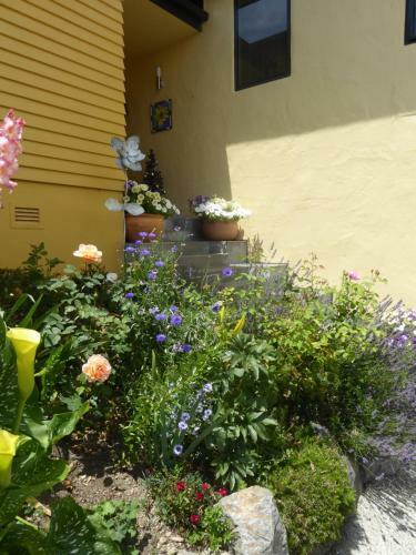 Bed & Breakfast Hazelwood Mapua