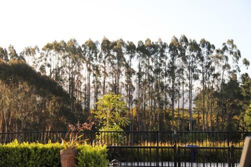 Bed & Breakfast Villa93