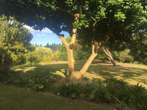 Bed & Breakfast Kerikeri Garden Homestead