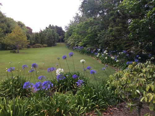 Bed & Breakfast Kerikeri Garden Homestead