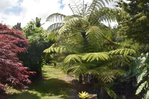 Bed & Breakfast Kerikeri Garden Homestead