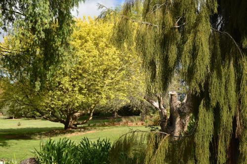 Bed & Breakfast Kerikeri Garden Homestead