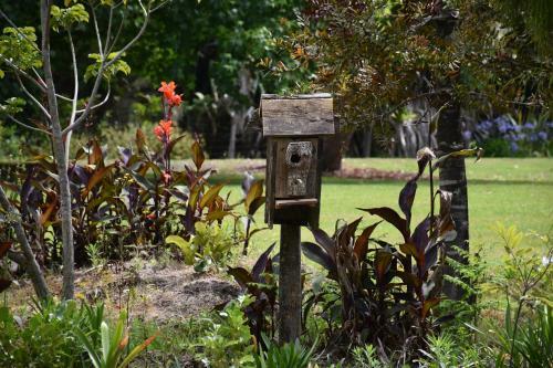Bed & Breakfast Kerikeri Garden Homestead