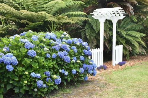 Bed & Breakfast Kerikeri Garden Homestead