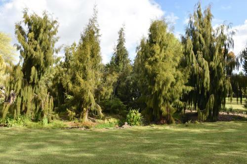 Bed & Breakfast Kerikeri Garden Homestead