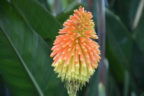 Bed & Breakfast Kerikeri Garden Homestead