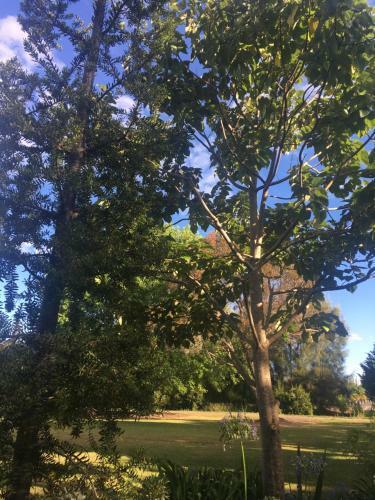 Bed & Breakfast Kerikeri Garden Homestead