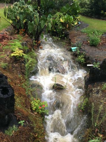 Bed & Breakfast Kerikeri Garden Homestead