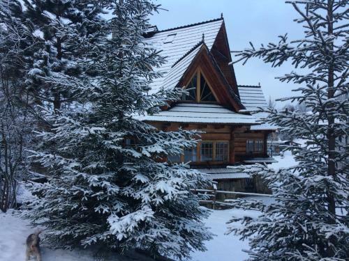 Bed & Breakfast Gliczarowski U Zb�ja