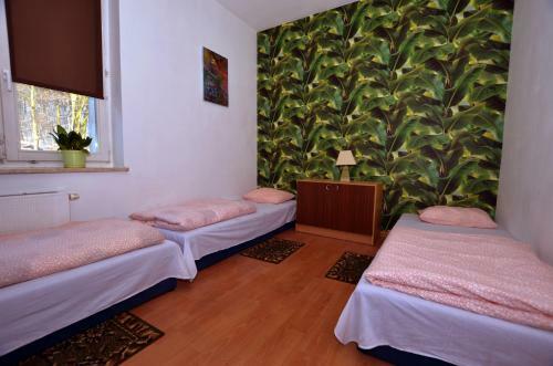 Hostel Madeira
