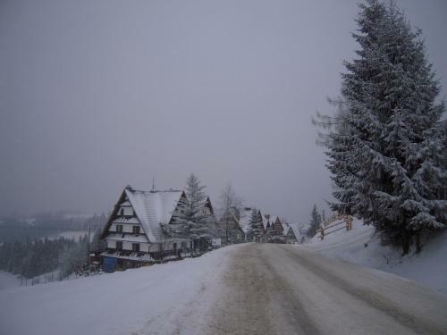 Hostal Willa Skorusyna