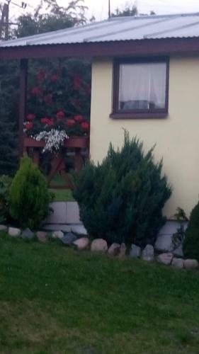 Lodge Domki Letniskowe W Wapnicy