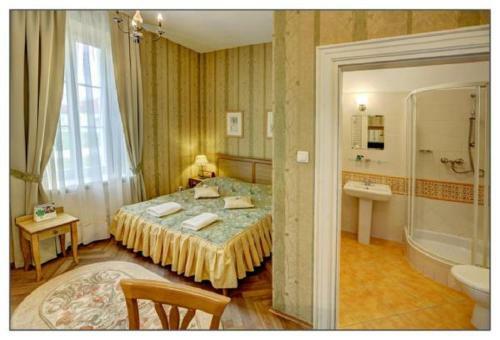 Hotel Pa?ac ?och�w