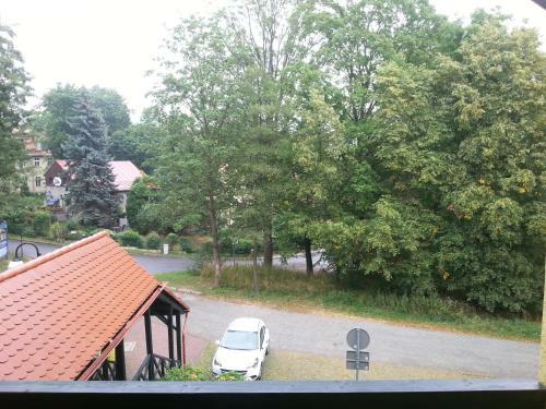 Apartament M