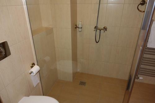 Hotel Go?ciniec Dworski W Ropie