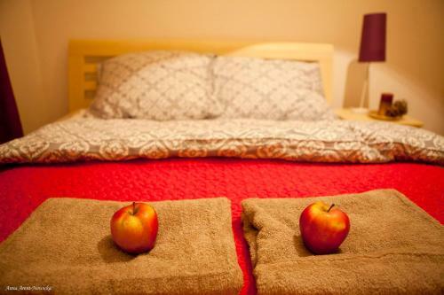 Apartament Bukowe Wzg�rze