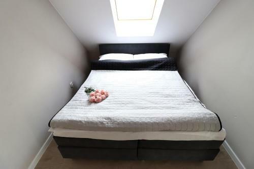 Apartamenty Bm'kruk