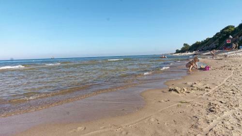 Szafran�wka