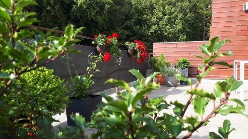 Apartamenty Starowka - Seaside