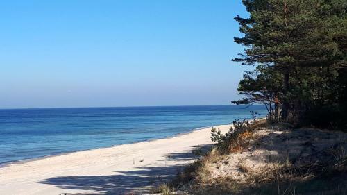 Apartamenty Starowka - Seaside