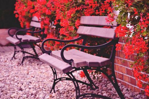 Agroturismo Stary M?yn W Brze?nicy