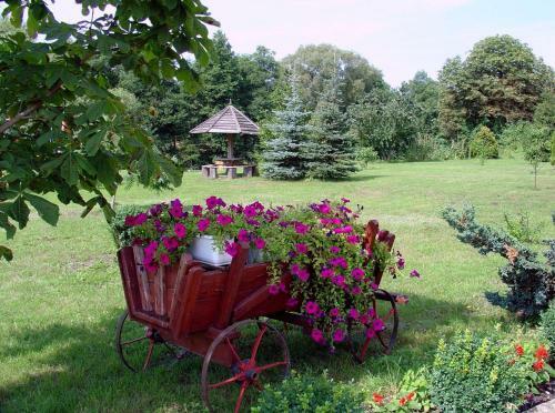 Hostal Pa?ac Wojciechy