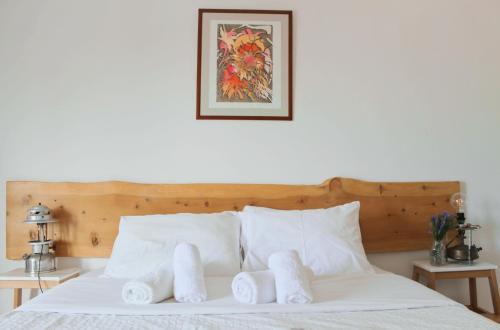 Bed & Breakfast Sal Da Costa Lodging