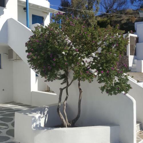 Hotel Agkyra