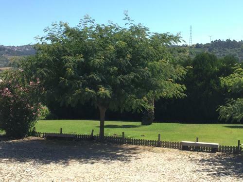 Bed & Breakfast Quinta Da Vinha Morta