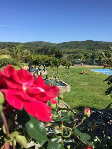 Bed & Breakfast Quinta Da Vinha Morta