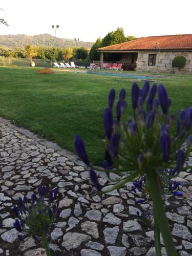 Bed & Breakfast Quinta Da Vinha Morta