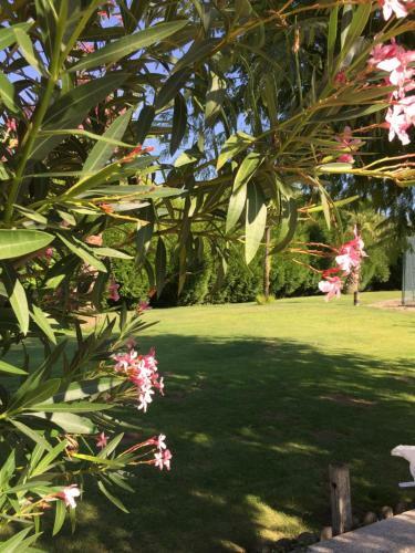Bed & Breakfast Quinta Da Vinha Morta
