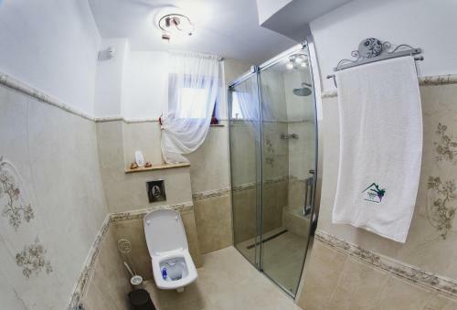 Cabana Dintre VII