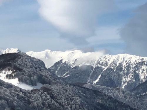 Hostal Bran Monte Crai Chalet