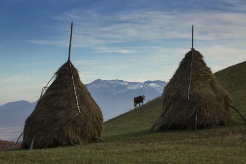 Hostal Bran Monte Crai Chalet