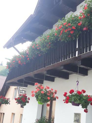 Hostal Casa Flavius