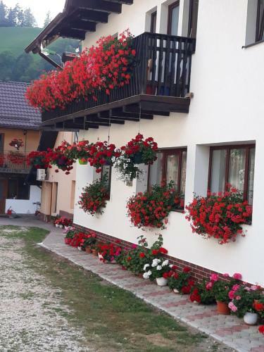 Hostal Casa Flavius