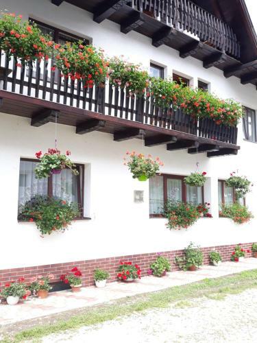 Hostal Casa Flavius
