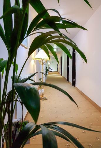 Hostal Cazare Fundeni