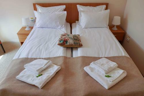 Hotel Bucharest Downtown Inn