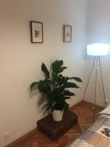 Apartamento Marcy Studio