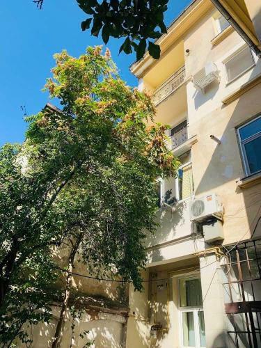 Victoriei Square Apartment