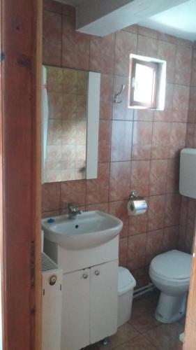 Hostal Casa Floare De Colt